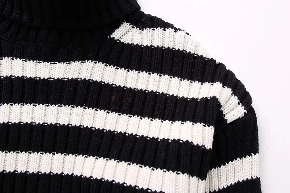 Cropped Bandit Turtleneck